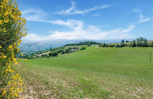 Villa in Tavoleto With Pool - Foto 40