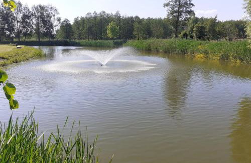 Beautiful holiday home in Masuria on river and lake - Foto 38