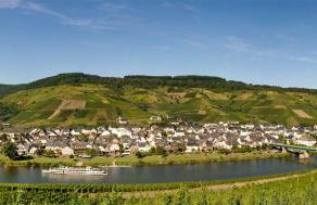 Ferienwohnung "Schöne Aussicht" - Foto 5