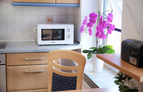 Moderne Fewo "Waschküche" direkt am Elbdeich bei Moldenhauer - Photo 13