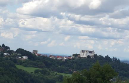 Idyllische Wohnung mitten in der Natur „ Haus Magnolia „ - Foto 22