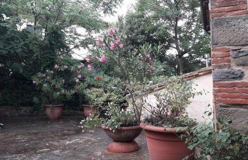 Il Fico di Cortona - Foto 25