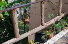 Casa para família curtir o Verao na praia de Cabecudas com piscina e quintal amplo - Foto 9