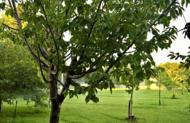 Villa Marita - Photo 28