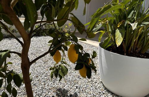 Casa Limone, Tropea - Foto 9