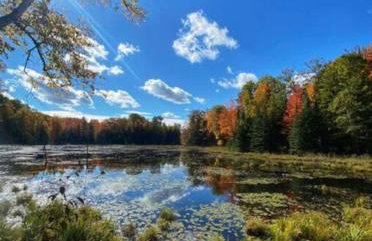 Barton City Lodge - Foto 24