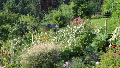 The Moosbach Garden - Foto 5, Garden