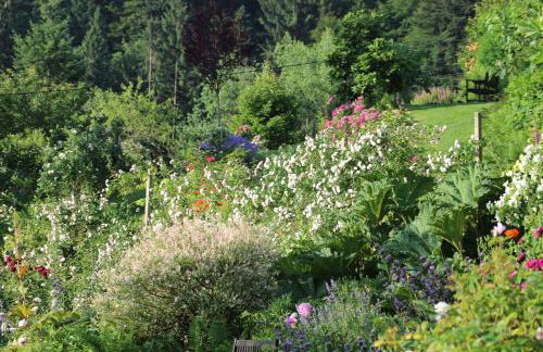 The Moosbach Garden - Foto 5