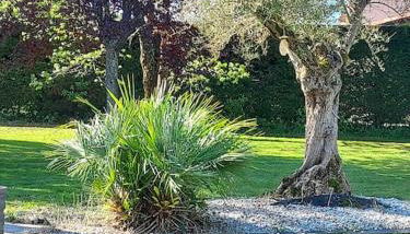 Maison aux portes de Montauban - Foto 3