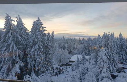 Harz High End 4 und 5 Sterne DTV Apartments - Photo 66