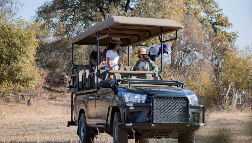 Una experiencia de safari en el Parque Nacional Zambezi - Foto 2