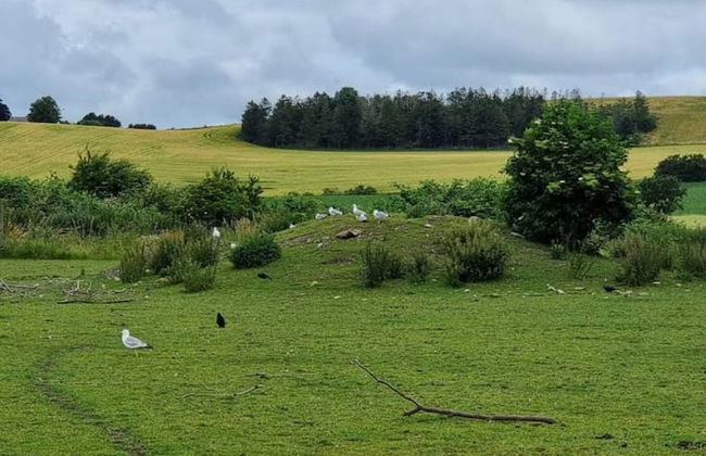 4 Person Holiday Home in Grevinge - Foto 13