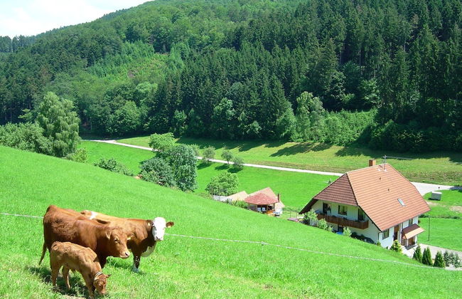 Apartment in Hofstetten Surrounded by Nature - Foto 14