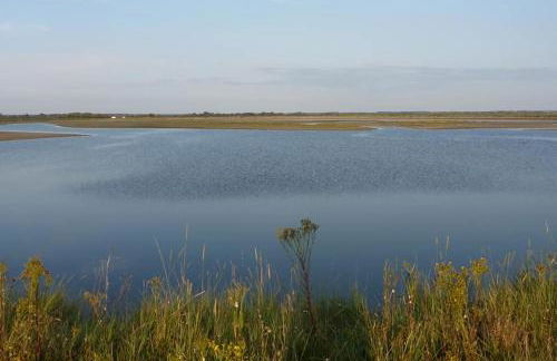 VENT DE FOLIE - Foto 11