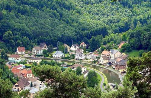 Chalet in Dabo near Castle Ruins - Photo 25