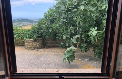 Mini Casale Rustico ColleBello - Foto 8