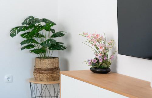 Villa Senka - Foto 20