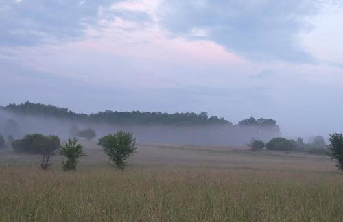 Dom Pod Żurawiami - Foto 31