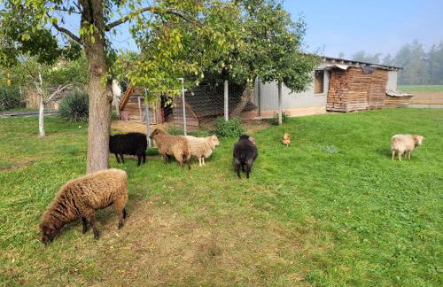 Ferienwohnung Wiesenhof - Foto 44