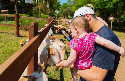 Hotel Fazenda Areia que Canta - Foto 9