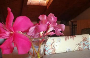 La Calletta - Foto 33