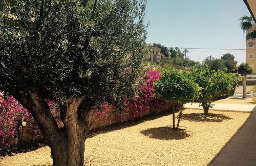 Villa Número Uno - Photo 5