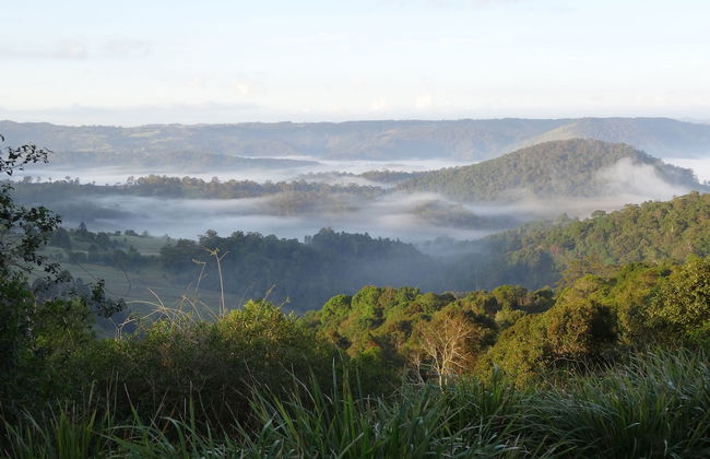 Maleny Luxury Cottages - Foto 21