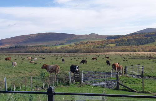 East Rigg Lodges - Foto 9