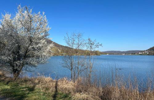 Ländliche Fewo Wildblume, 4 km zum Stausee - Foto 45