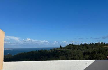 Colina Azul vue mer exceptionnelle - Foto 20