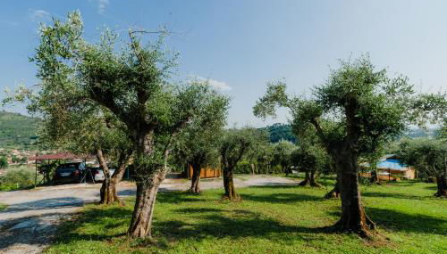 la tana del geco - Foto 5, Garden view