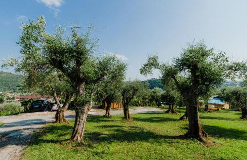 la tana del geco - Foto 5