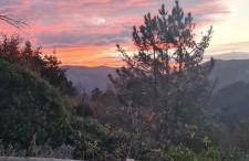 Apartamentos Rurales El Bosque de las Viñas - Photo 31