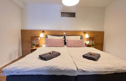 Gemütliches Studio Apartment in Kehl Goldscheuer - 1A Guesthouse - Foto 13