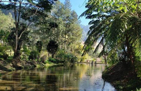 Friburgo Lagos p Pesca,Banho,Sauna,Campinho - Foto 66