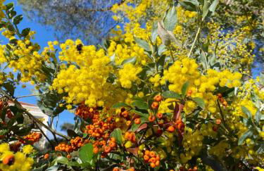 St Raphaël piscine wifi, commerces et mer à pieds - Foto 1