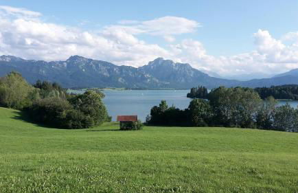 Schmölz Robert - Foto 33