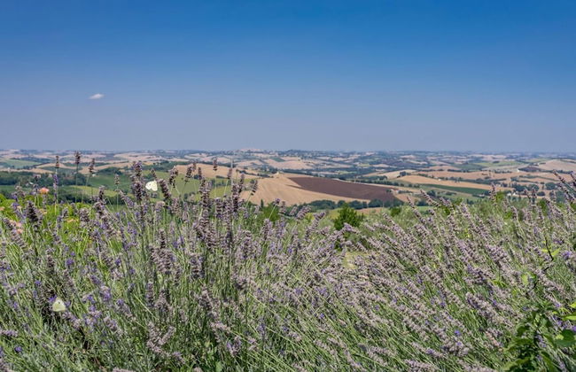 An-f453-cbgn2at - Casale Verdicchio - Foto 1