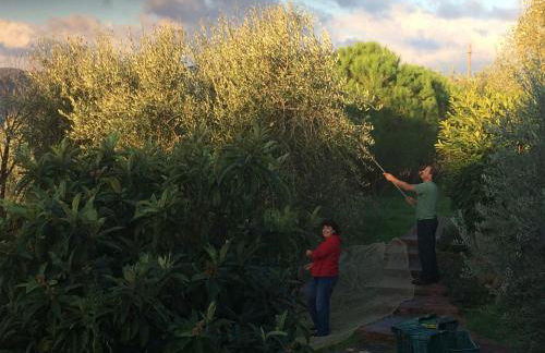 Casa Lorenzo - Foto 8