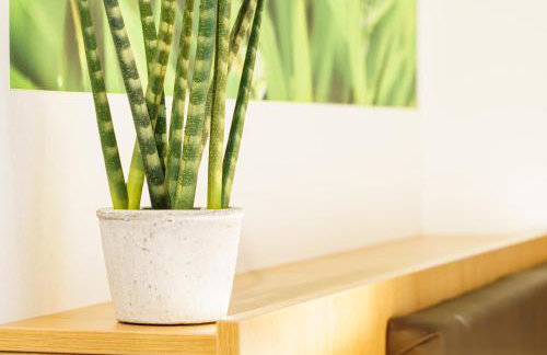 INhouse - Wohnen auf Zeit - Photo 105