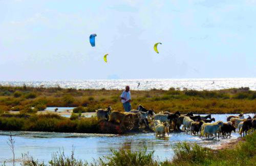 Kiteshomes - Foto 52