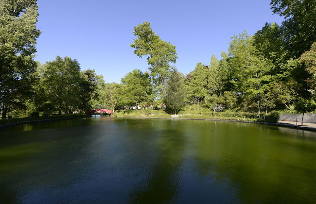 Vale de São Torcato Houses and Wine Bar - Photo 55
