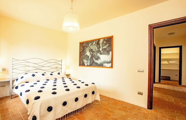 Tenuta Pianirossi - Photo 20