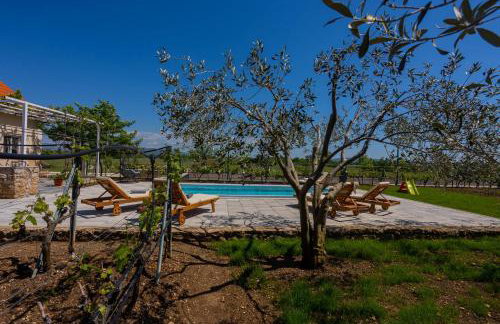 Holiday house Olive Tree - Foto 3