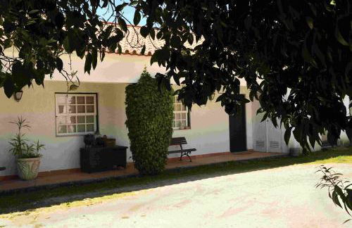 Quinta da Fata - Foto 15