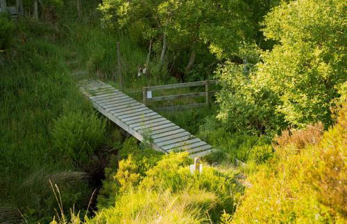 Daisy Bank Camp - Photo 16