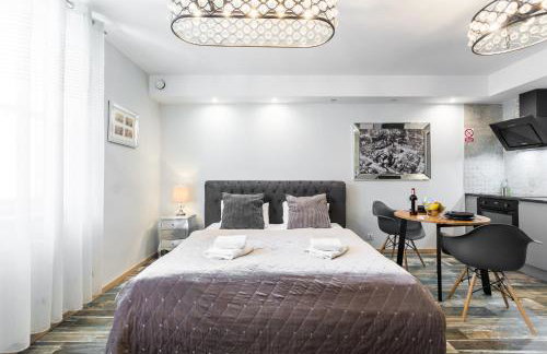 Old Town Premium Kazimierz Apartments - Photo 64