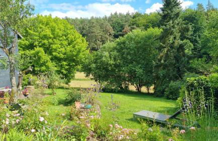 Wolfsmühle - Foto 50