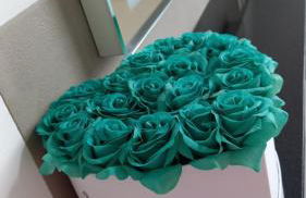 Appartement Tischi - Foto 26