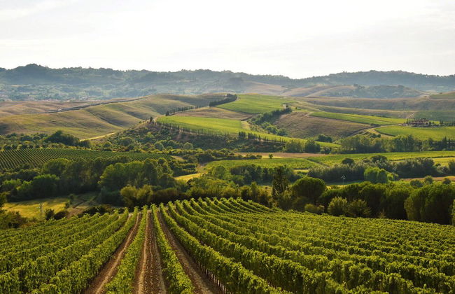 Room Rent Morrona - Foto 27